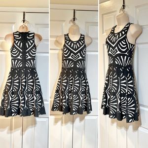 Parker-Stretch Knit Fit & Flare Mini Dress-Gray& White Hint of Silver Shine-Sz S